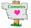 Conures - You Just Gotta Luv 'Em